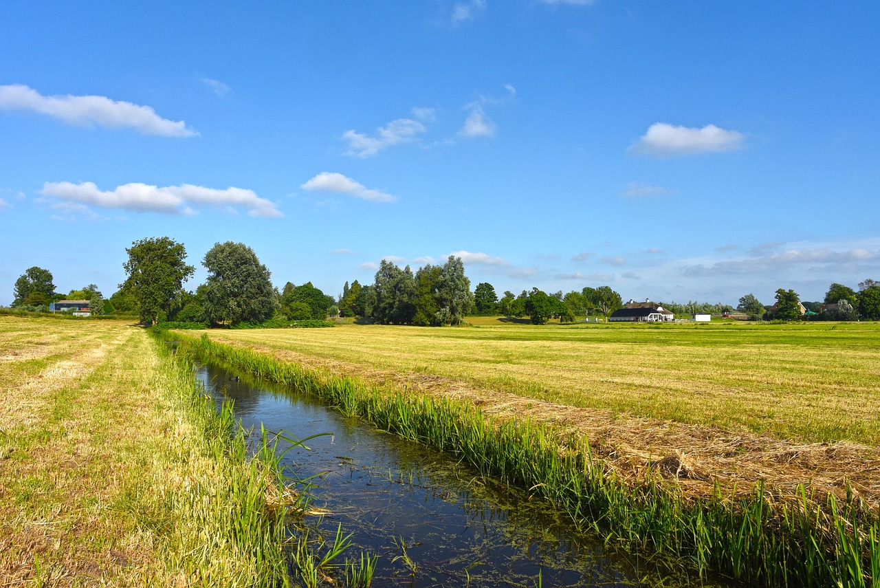 Dutch lessons 10 Dutch Lessons Online – Learn Dutch from Zero to A2