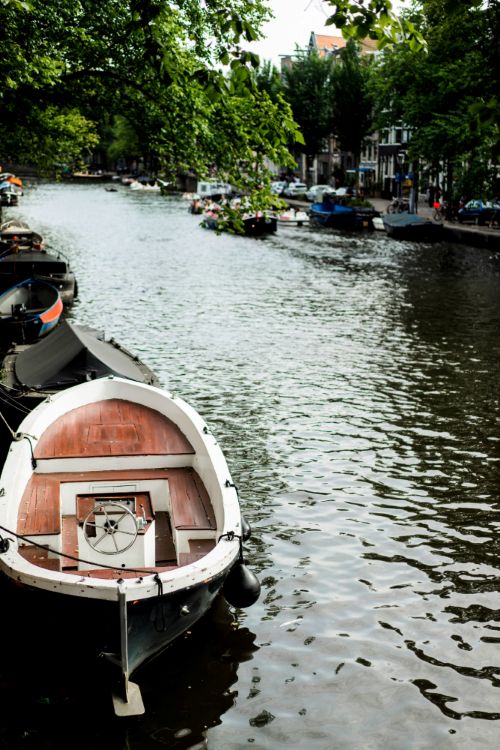 Dutch lessons 11 Dutch Lessons Online – Learn Dutch from Zero to A2