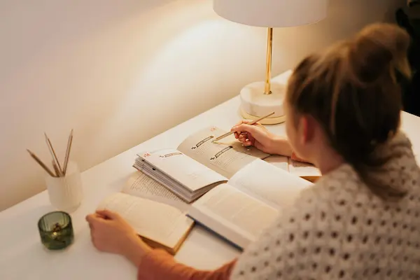 Dutch self-study book